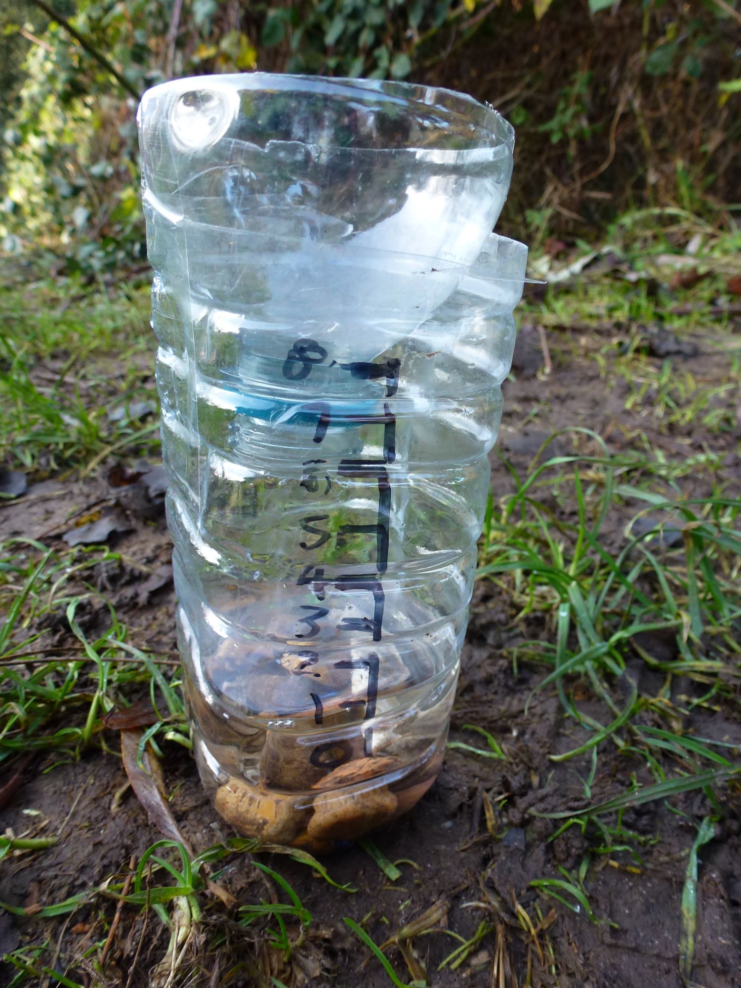 Rain Gauge Outdoor Learning Made Easy